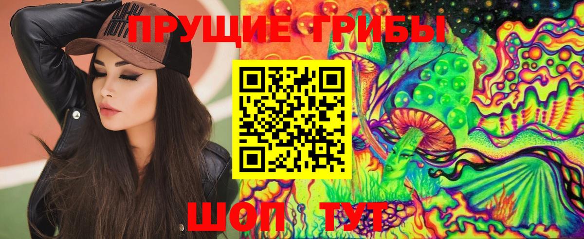 Галлюциногенные грибы мицелий  закладки  Вход с VPN  Озёры  Псилоцибиновые грибы ЛСД 