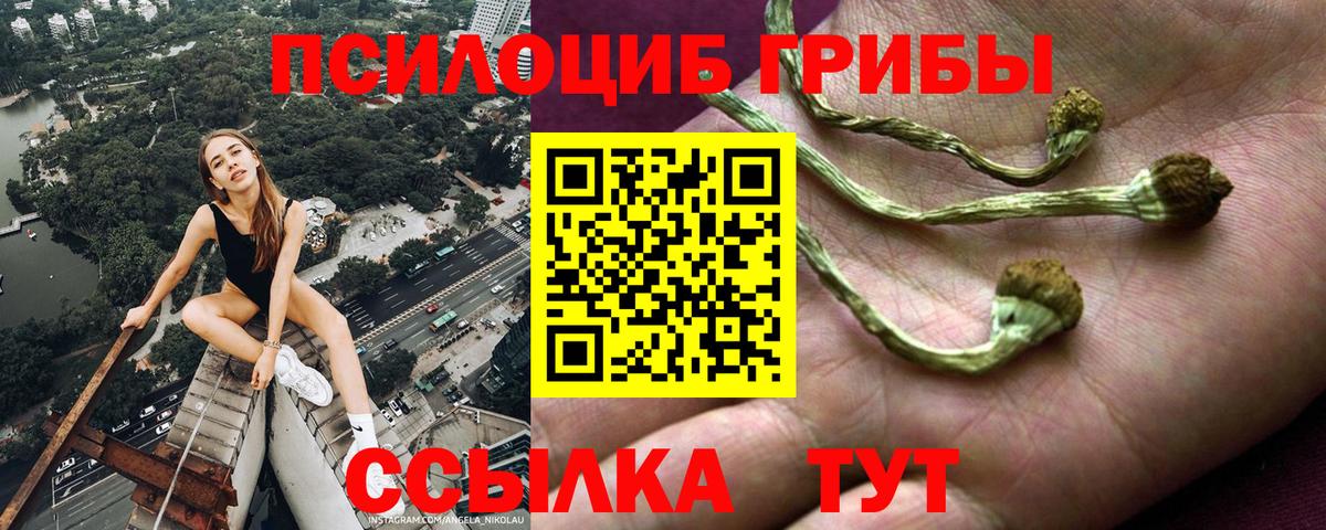 Псилоцибиновые грибы MAGIC MUSHROOMS Озёры